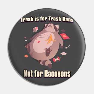 "Trash is for Trash Cans, Not for Raccoons!" Pin