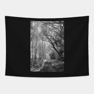 Winter forest pathway - Photographic Print Black and White Tapestry