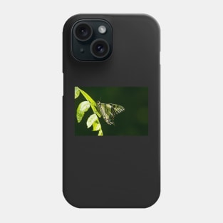 Tiger In The Woods Phone Case