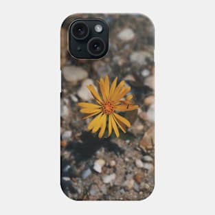 Hairy (False) Golden Aster Phone Case