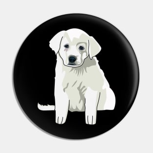 Baby Akbash dog , cute puppy, great pyrenees baby, akbash baby dog australia Pin