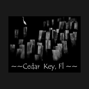 Cedar Key, Florida T-Shirt