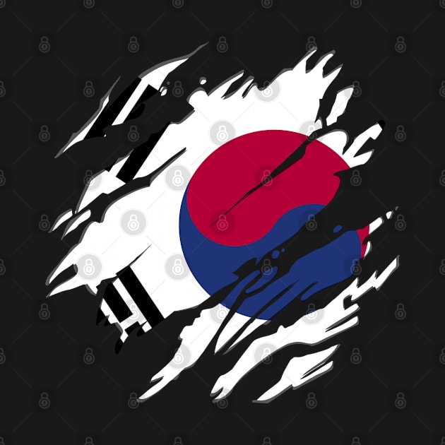 South Korea Flag Scratch by BramCrye