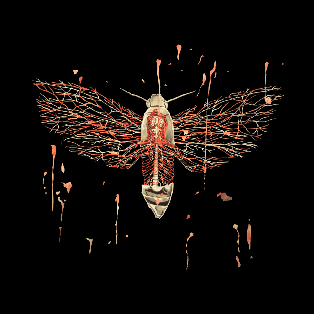 Anatomical Death's Head Hawk Moth by RaLiz