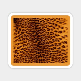 Leopard print Magnet