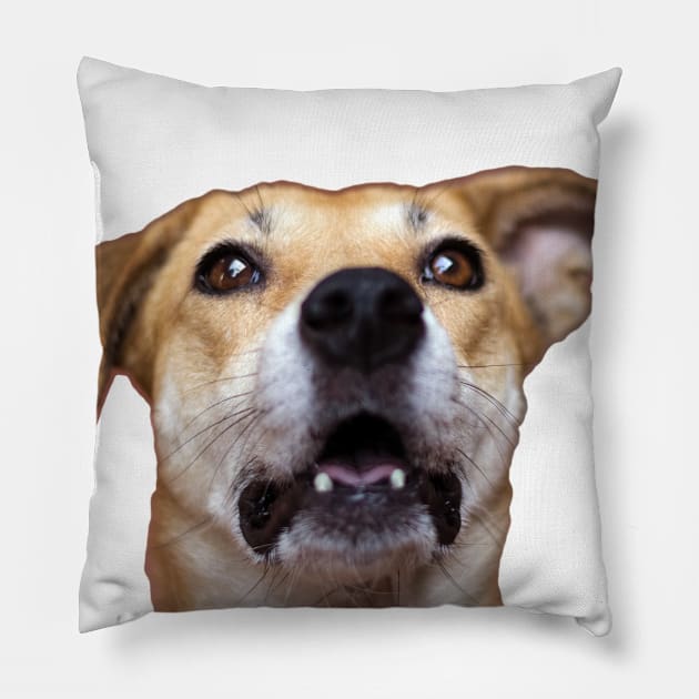 dog Pillow by rickylabellevie
