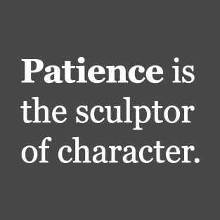 Patience Is The Sculptor Of Character T-Shirt