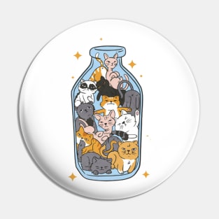 Cats in a Bottle Pin