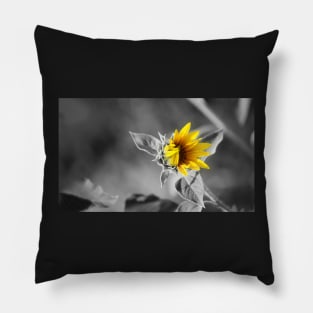 Sunflower Pillow