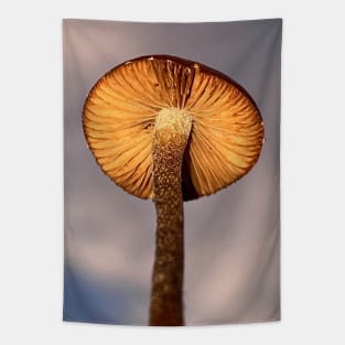 Simple Mushroom 🍄 Photograph Basic Fungi Psychedelic Photo Tapestry