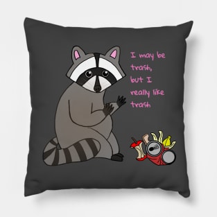 Self Love Raccoon Pillow