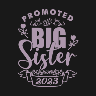 Gift for birth sister siblings 2023 T-Shirt