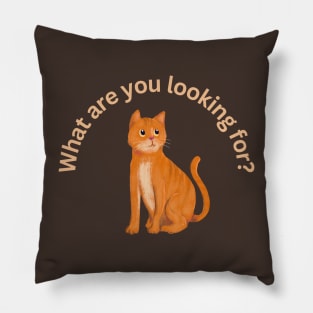 What are you looking for? Pillow