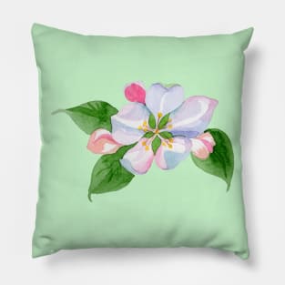 Apple Design Pillow