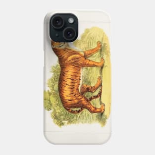 Tiger illustration Phone Case