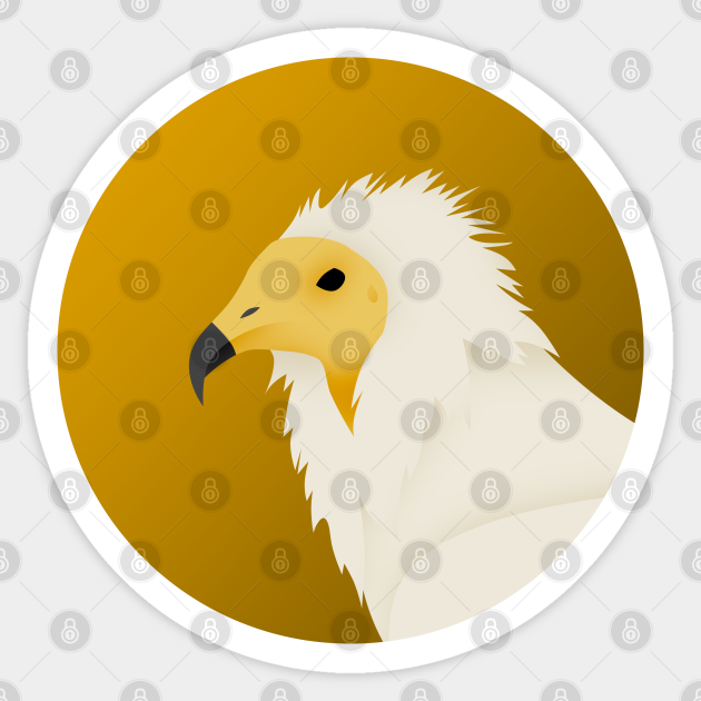 Egyptian Vulture Vulture Sticker Teepublic