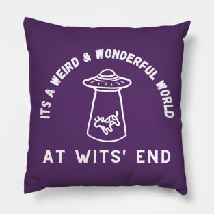 It's a weird and wonderful world at Wits' End Pillow