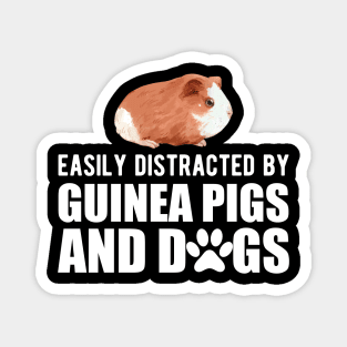 Guinea Pig - Easily guinea pigs and dogs w Magnet