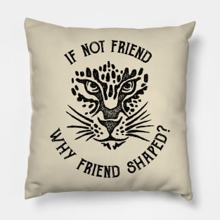 If not friend, why friend shaped? Pillow