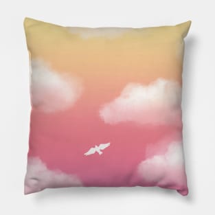 Beautiful Pink Sky Pillow