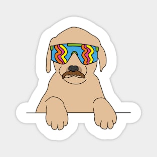 Dog with a moustache wearing 80's skiing sunglasses Magnet