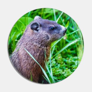 Groundhog in the Grass Photograph Pin