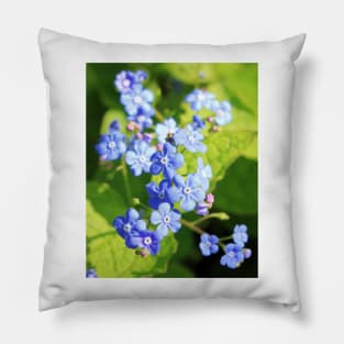 Forget-me-not flower Pillow