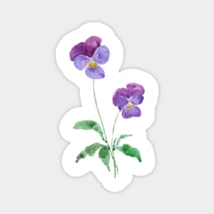 2 little purple pansies watercolour Magnet