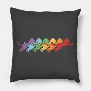 Rainbow Cat Jump Pillow