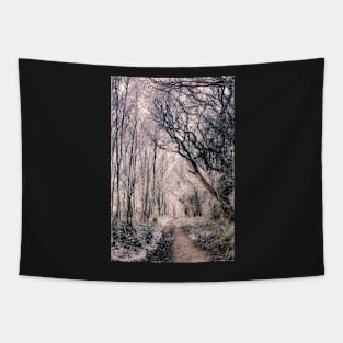 Winter forest pathway - Art Print Tapestry