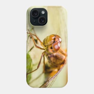 Autumn Meadowhawk Dragonfly, Macro Photography Phone Case