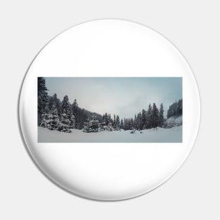 fir forest panorama Pin