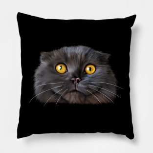 Funny Scottish Fold Face, Cat Lover Pillow