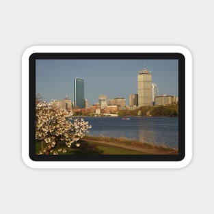 Boston Charles River on a Spring day Magnet