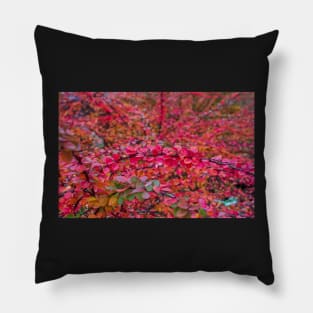 Red green barberry leaves in autumn Pillow