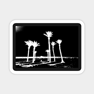 Group of palm trees on Benidorm beach black and white Magnet