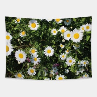 Summer Daisies Tapestry