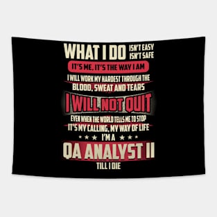 Qa Analyst Ii What i Do Tapestry