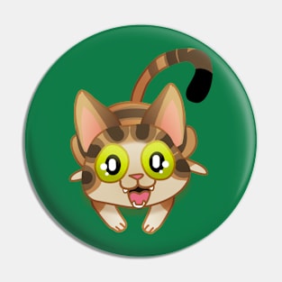 Gilbert the kitten nya! Pin