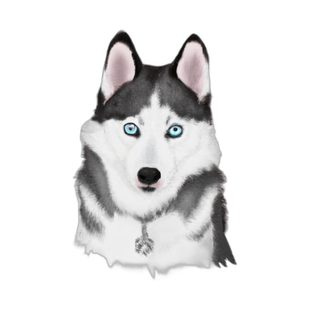 Cute Husky Drawing by Play Zoo