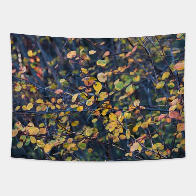 Little Autumn Leaves and Branches Tapestry by Amy-K-Mitchell