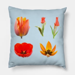 Tulips Pillow