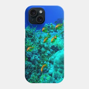 Coral reef with fishes Phone Case