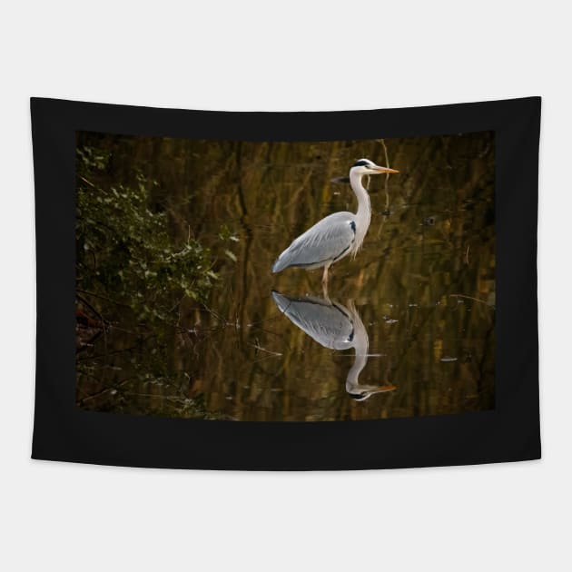 Great Blue Heron Tapestry by Z Snapper