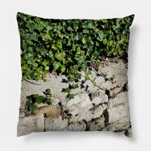 Ivy and Stone Pillow