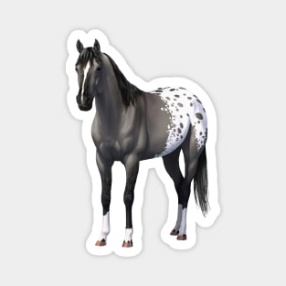 Gray Quarter Horse Grulla Appaloosa Stallion Magnet