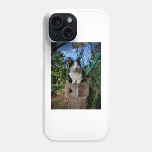 Robbi the cat Phone Case