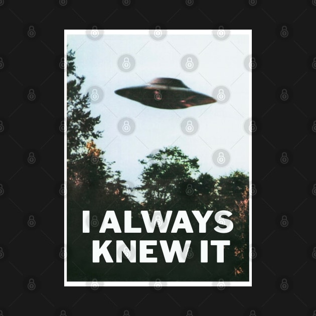 I WANT TO BELIEVE by Hounds_of_Tindalos