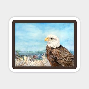 Bald Eagle Magnet