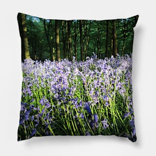 Bluebell Evening Walk Pillow